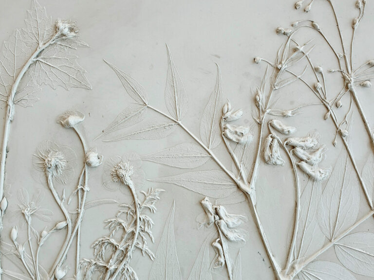 Выставка ботанических барельефов Татьяны Сенченко «В царстве Флоры»